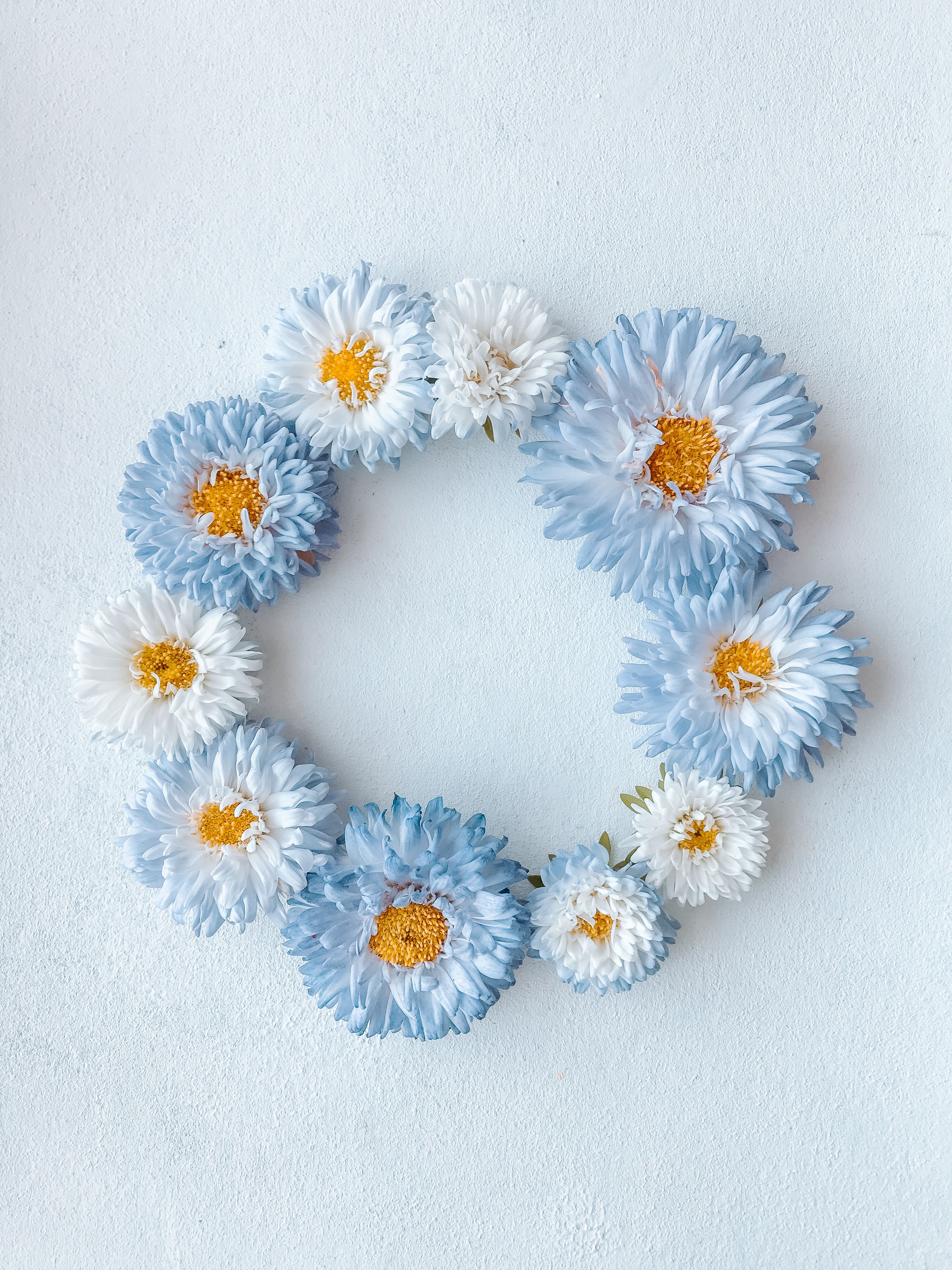 Fotomural Arreglo cautivador de flores azules y blancas formando un círculo sobre un fondo blanco.