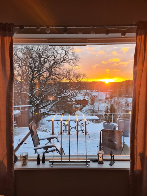 Snow-Covered Backyard Seen Through a Window