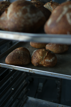 Delicious artisan bread cooling on a tray, perfect for bakery and food visuals.