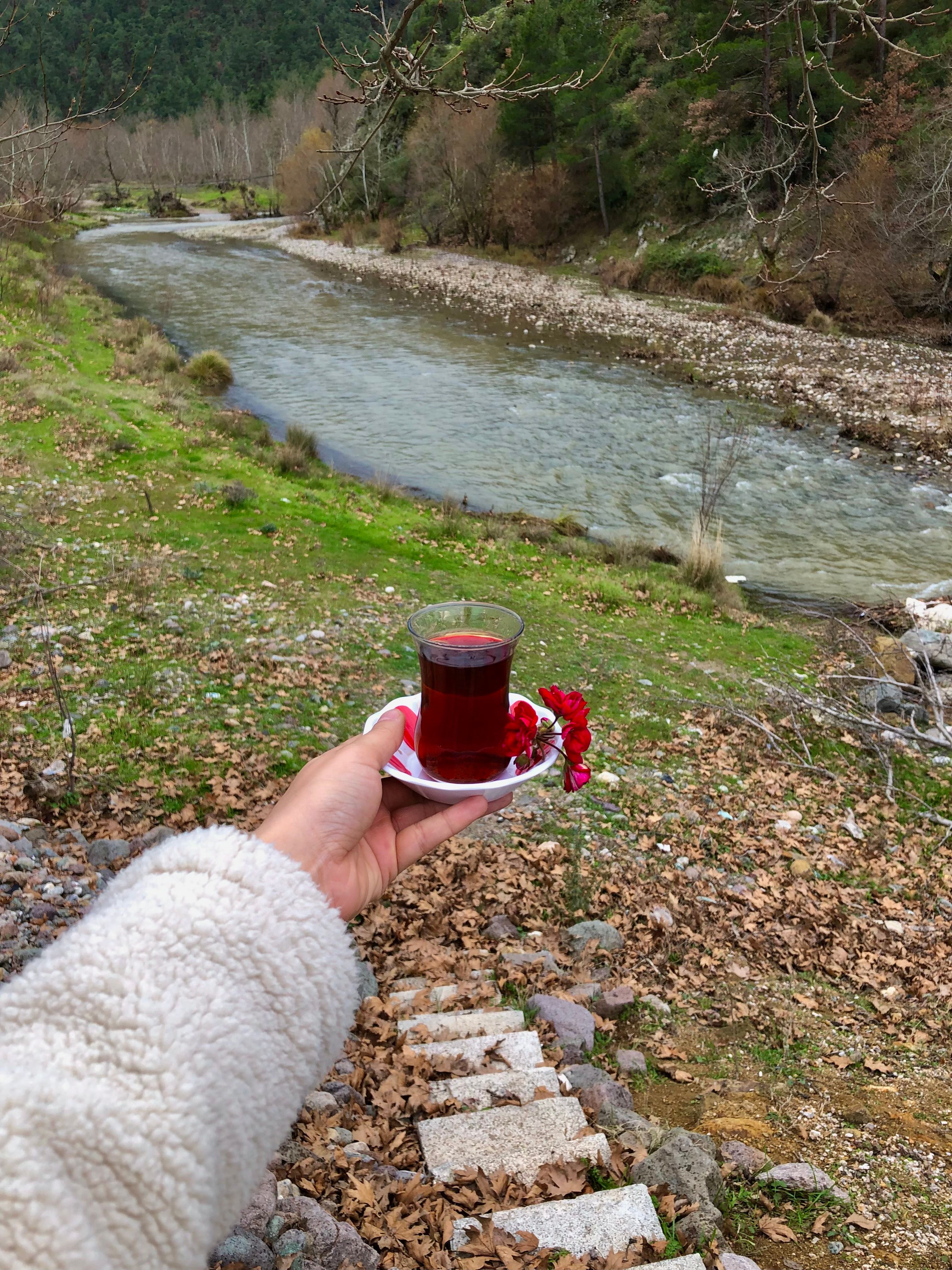 Hand holding a glass of tea with a red flower by a riverside in autumn outdoors.