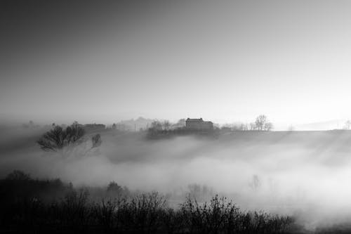 Kostenloses Stock Foto zu außerorts, landschaft, nebel