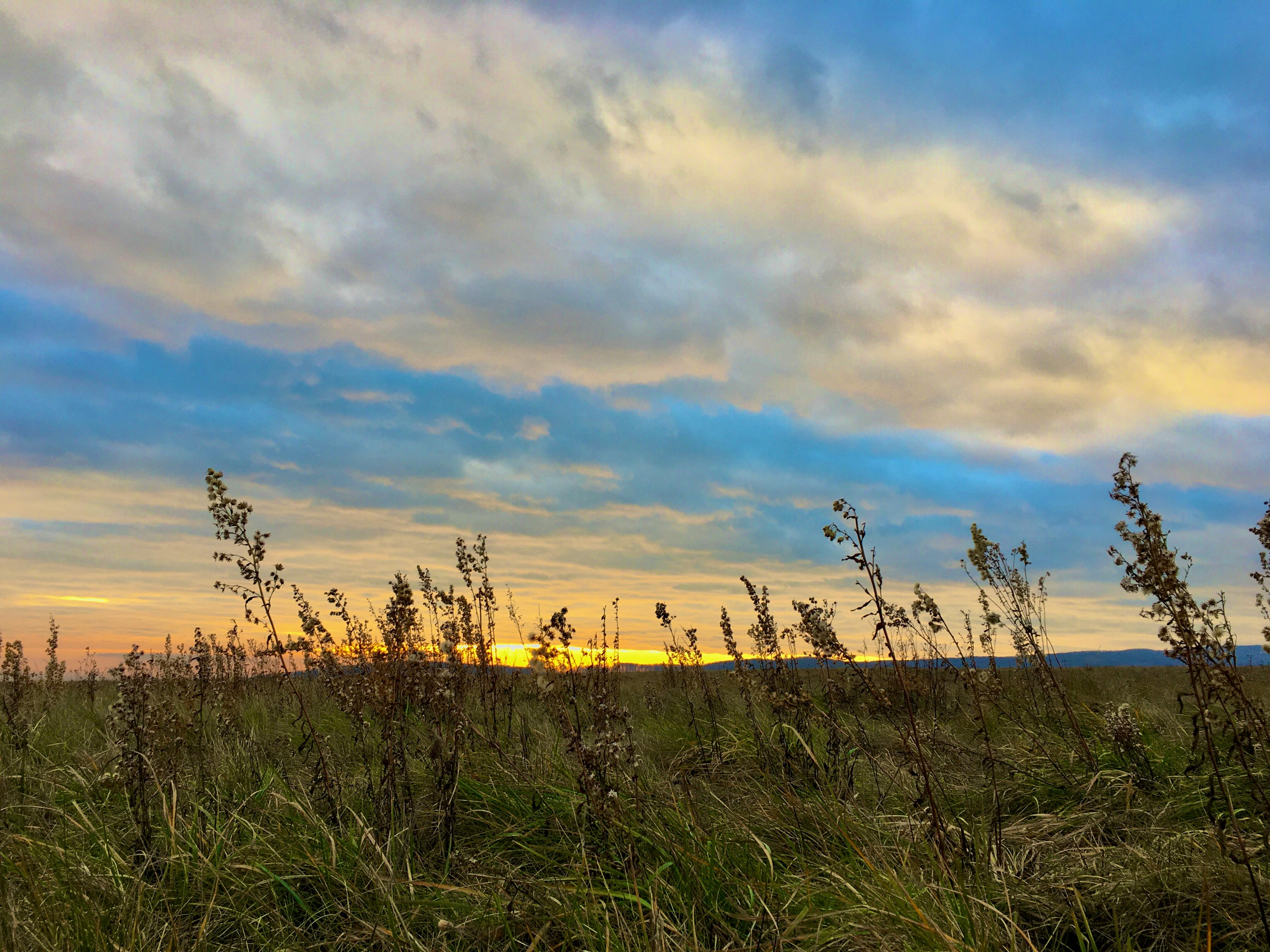 Free stock photo of aesthetic desktop wallpaper, aesthetic wallpaper, autumn wallpaper by Sun Pixel Photography