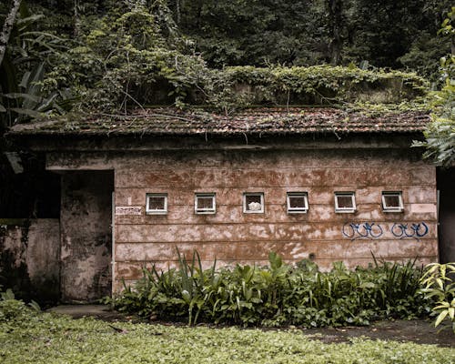 An Abandoned Building in the Forest