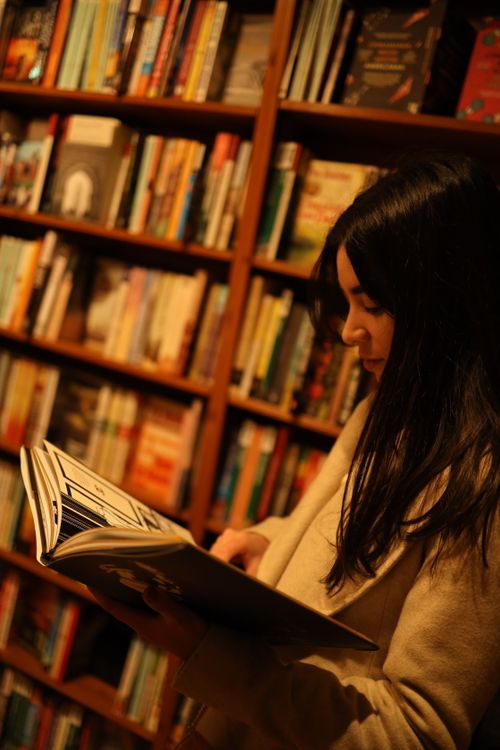 Free A young woman reads a book in a warm, inviting bookstore filled with shelves of books. Stock Photo