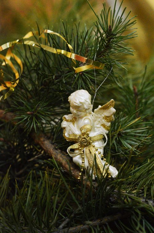 Free A charming angel ornament hangs on a pine tree, perfect for festive holiday decoration. Stock Photo