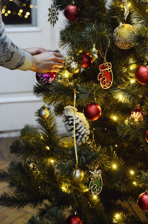 Foto profissional grátis de acessórios, árvore de Natal, bolas de Natal