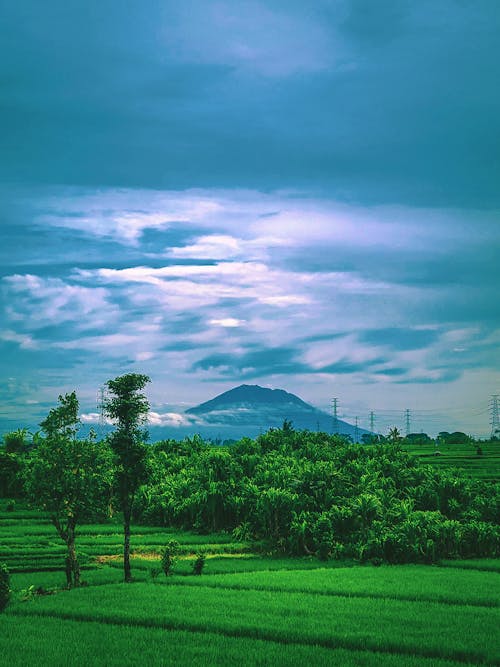 Free stock photo of bali, beautiful background, mountain