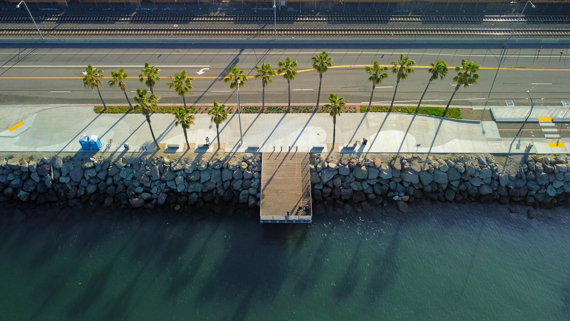 Drone shot of palm-lined promenade and pier at Long Beach, CA, USA.