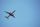 avion