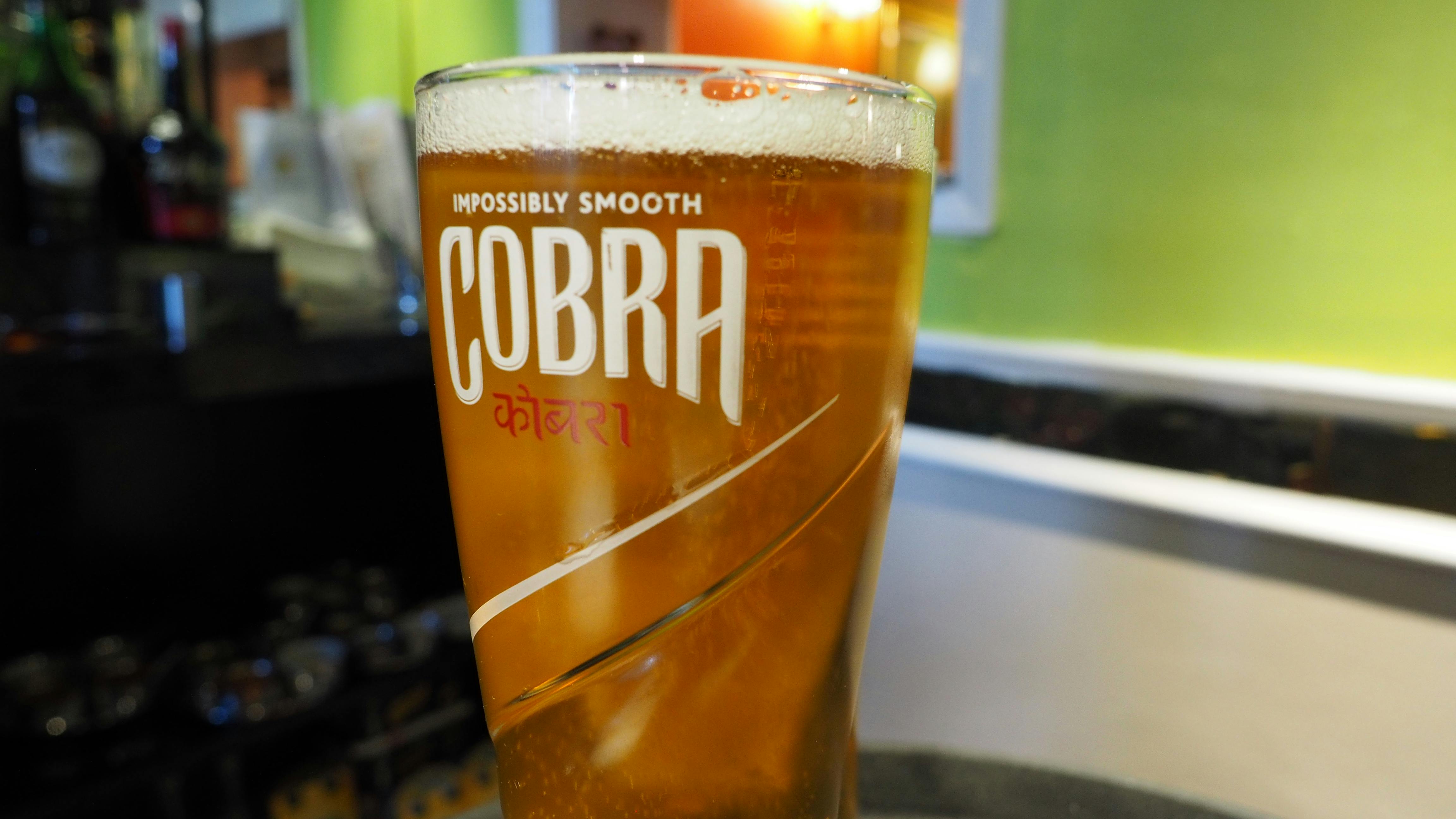 Free stock photo of cobra, cobra drink, pint of beer