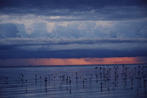 Gratis stockfoto met bewolkte lucht, natuur, oceaan Stockfoto