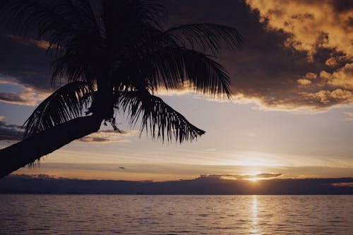 Бесплатное стоковое фото с восход, горизонт, закат