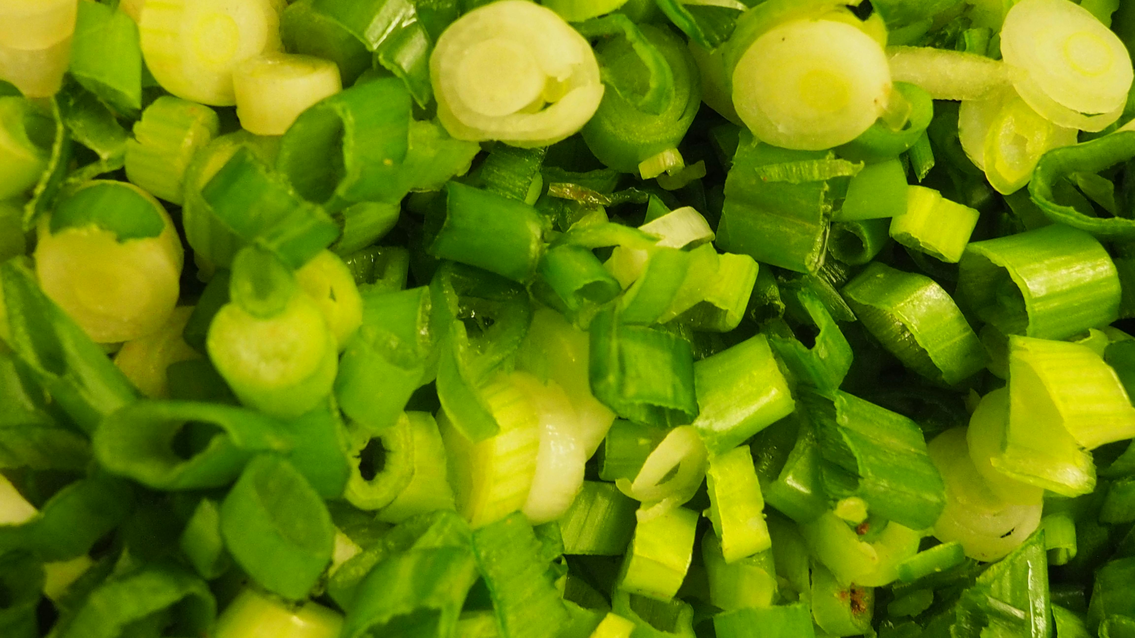 Free stock photo of green, green onions, onion