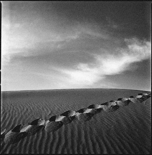 Ilmainen kuvapankkikuva tunnisteilla aavikko, harmaasävyt, hiekka