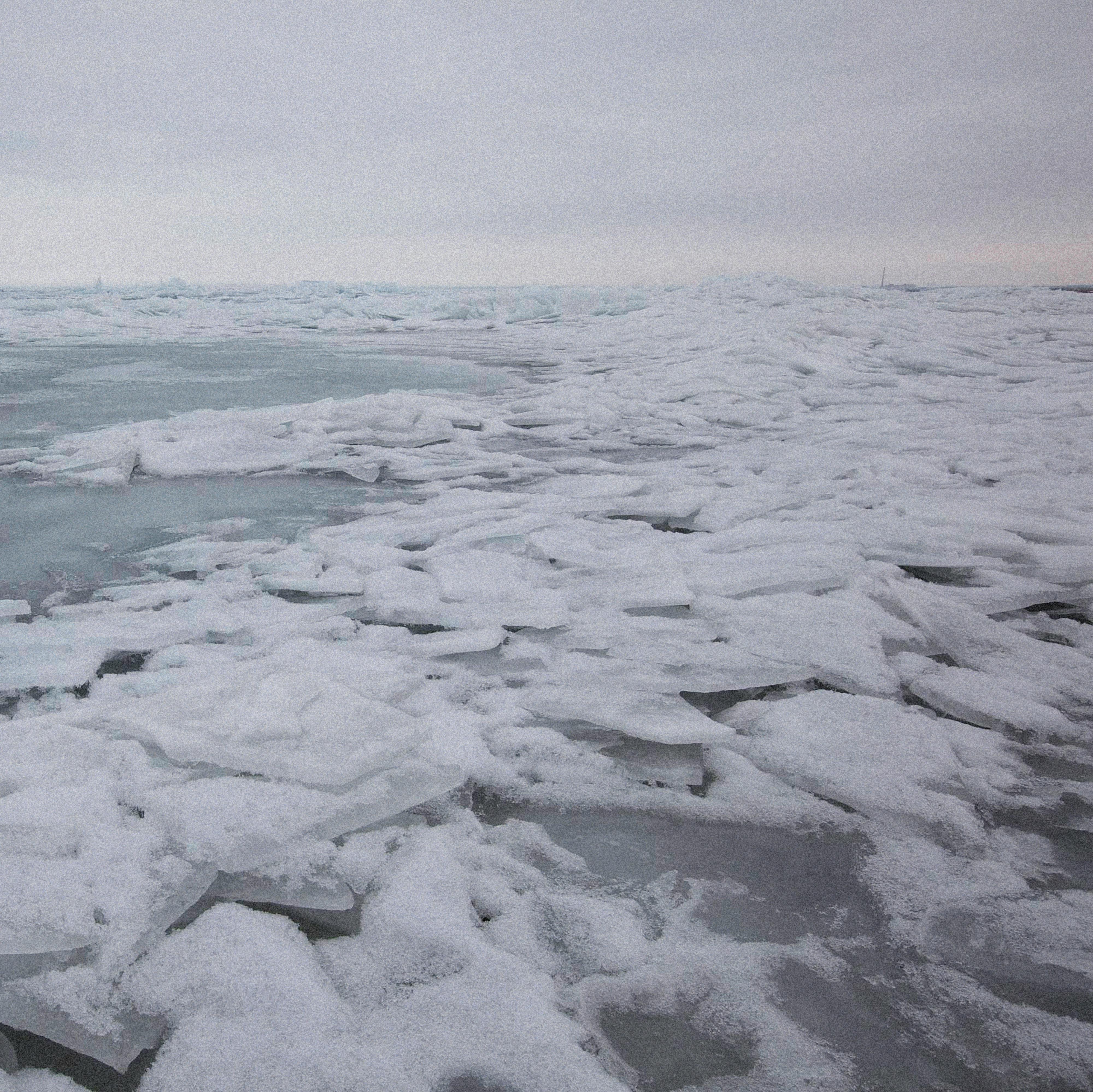 polar vortex collapse forecast