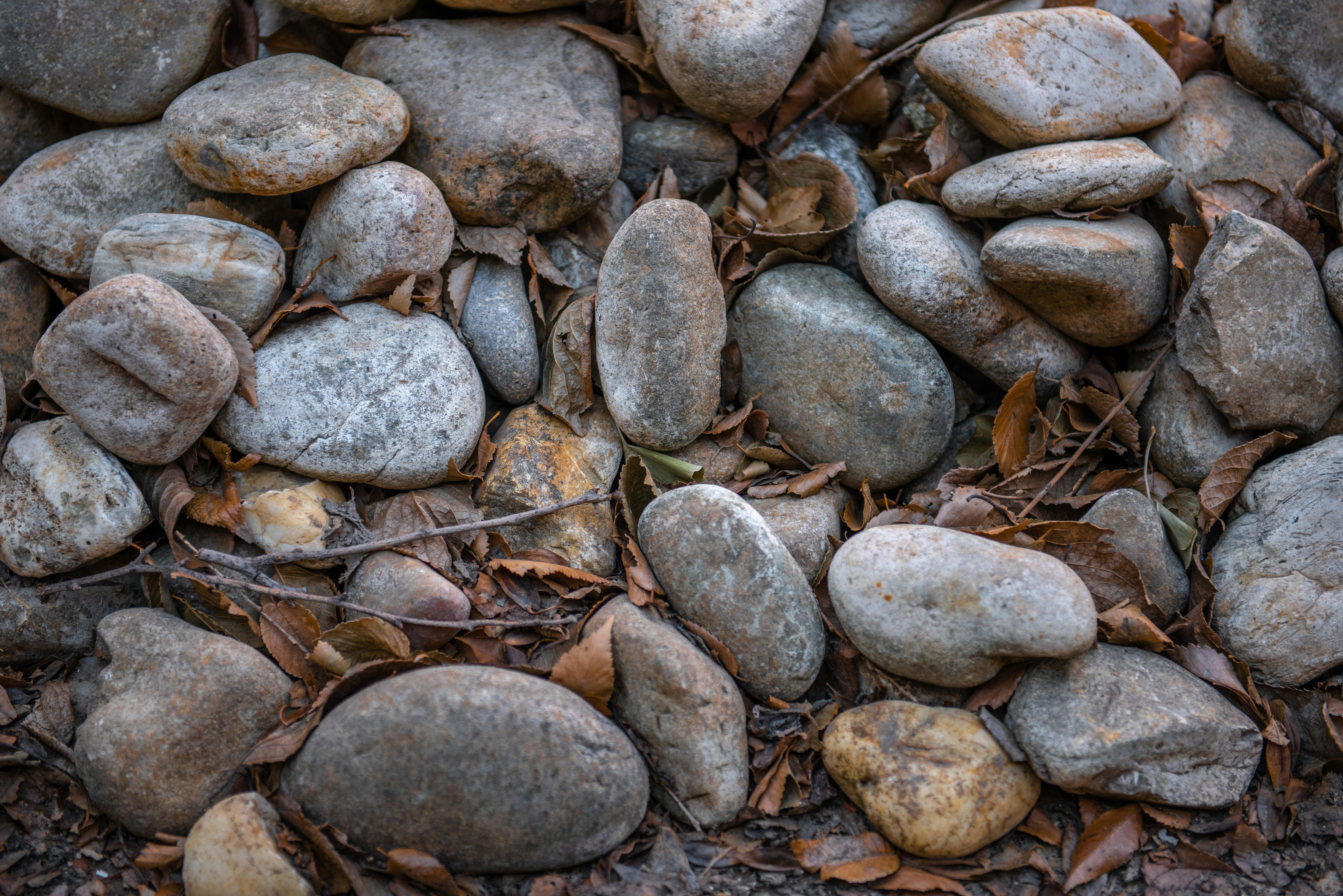A detailed view of textured stones surrounded by dried leaves on the ground.
