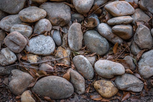 Cobblestones and Dried Leaves on the Ground