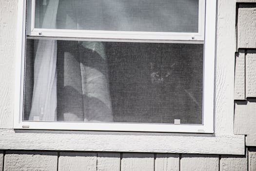 一只猫透过乡村复古住宅外墙的屏风窗向外张望