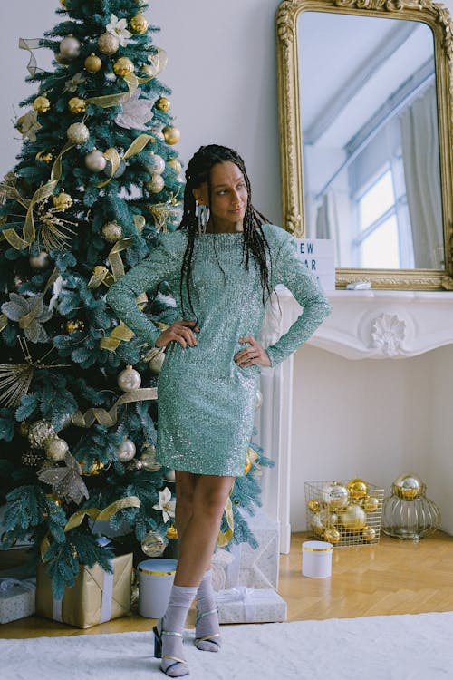 Gratis lagerfoto af afroamerikansk kvinde, jul sæson, kjole