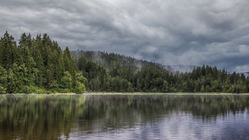 Free Peaceful forest lake with trees reflected in water under a dramatic cloudy sky. Stock Photo