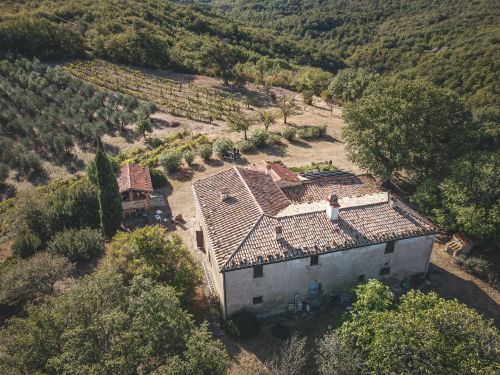 Free Drone shot of a rural farmhouse surrounded by lush greenery and vineyards. Stock Photo