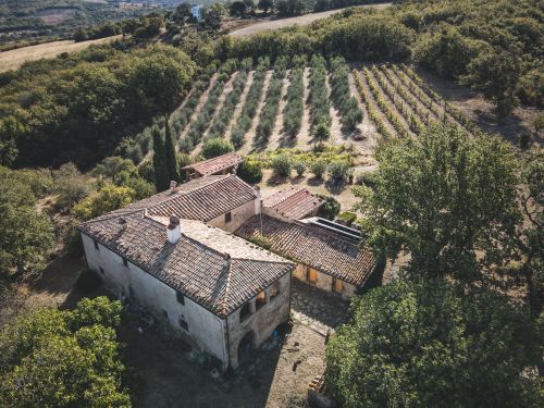 Free Charming countryside farmhouse with vineyard surrounded by lush greenery. Stock Photo