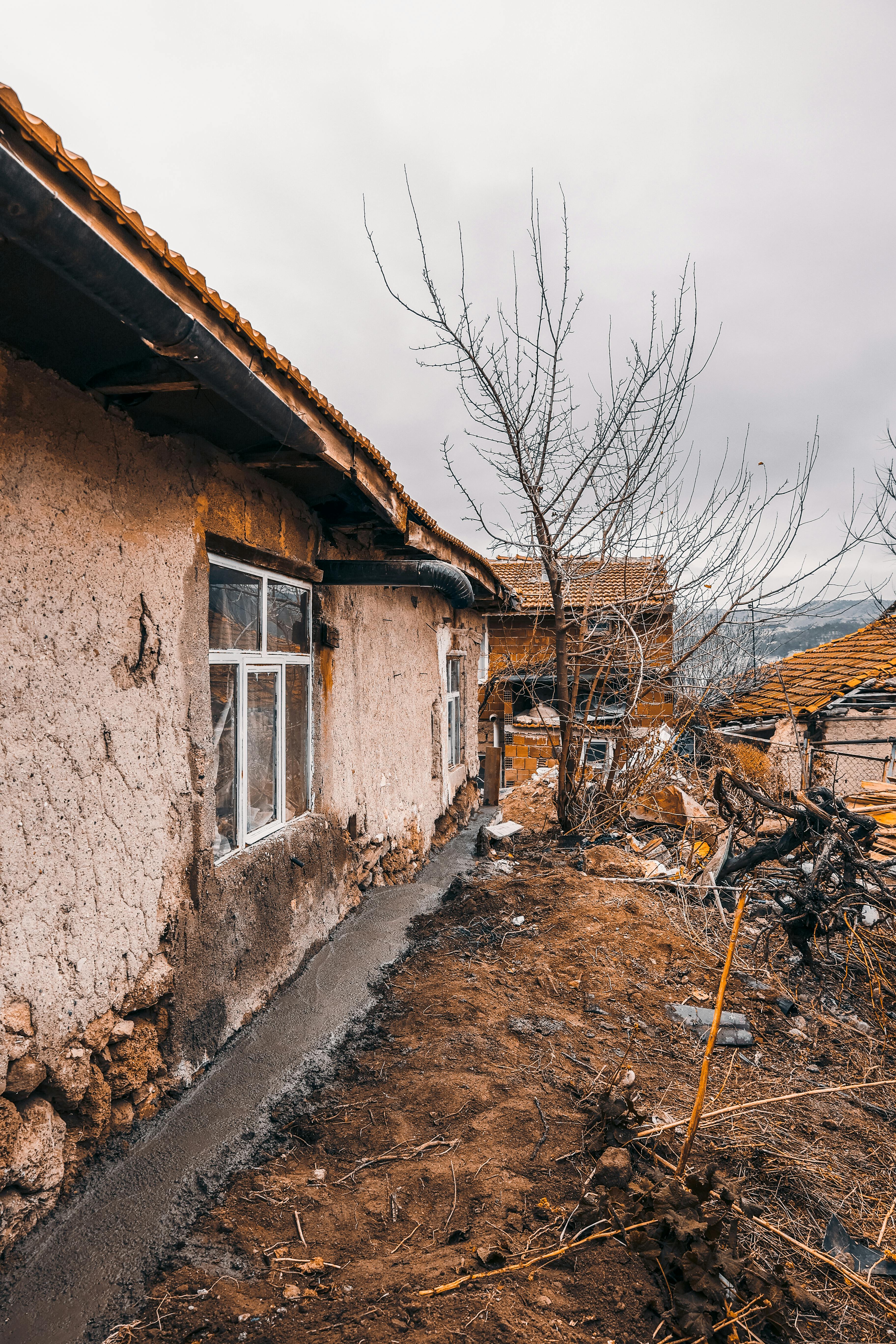 Will mice leave a house on their own?