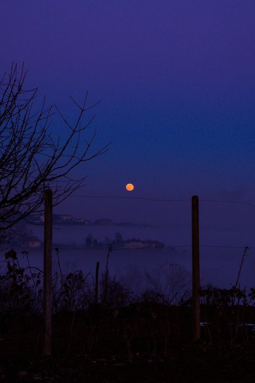 Free A serene moonlit view over foggy hills in Piedmont, Italy, showcasing a bare tree and fence silhouette. Stock Photo