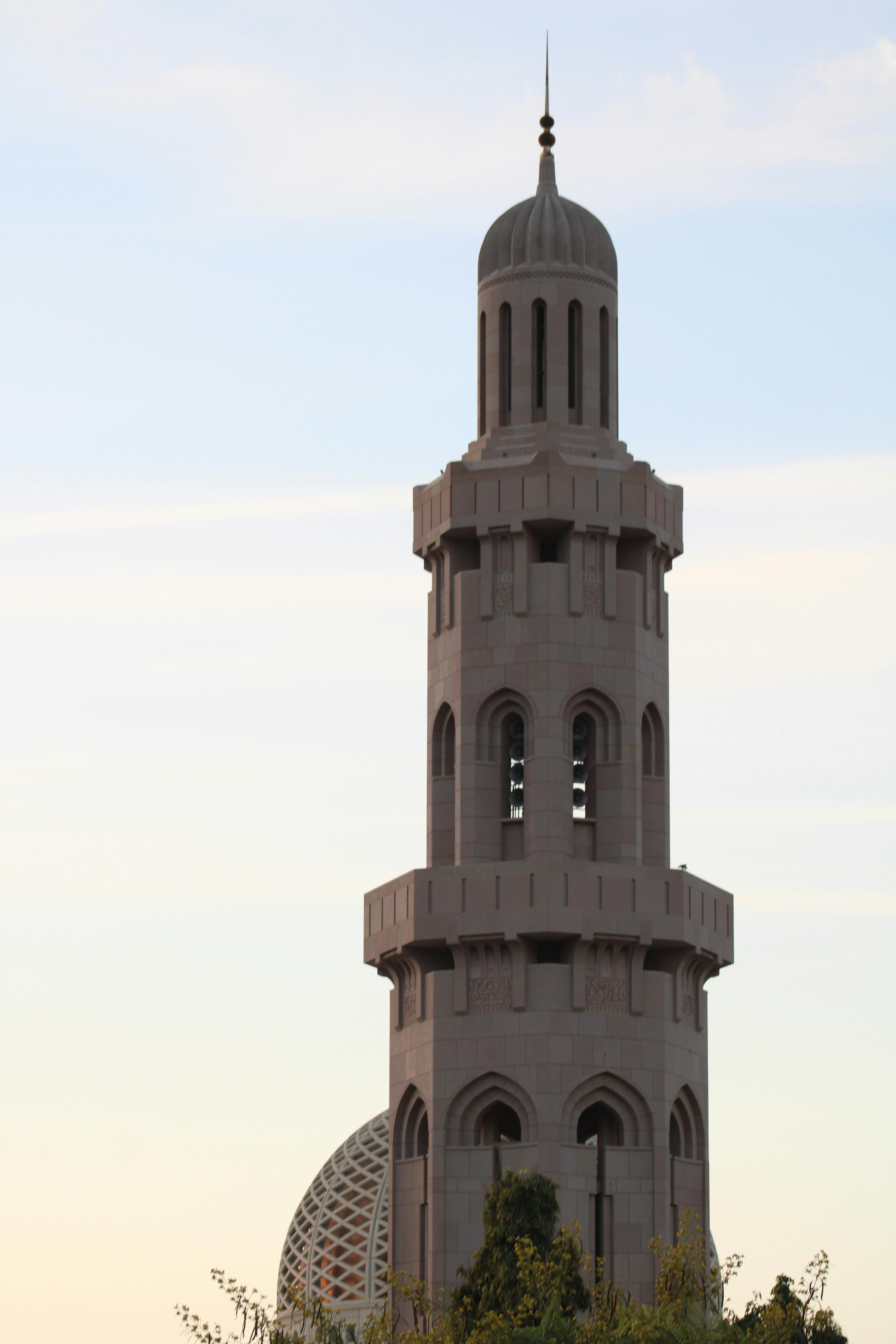 Hand garden rake on soil