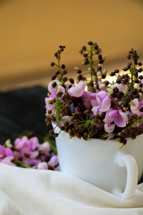 Free Purple Flowers in White Ceramic Vase Stock Photo