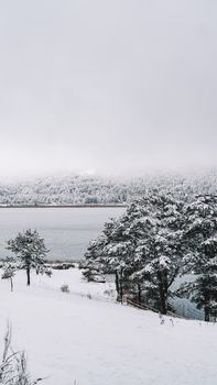 Captivating snowy scenery of frozen lake and forest in Bolu, Türkiye, during winter.