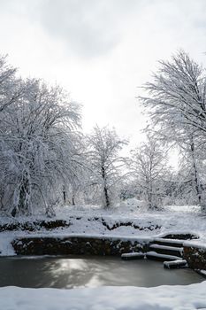 Serene winter landscape of snowy trees and a frozen pond in Bolu, Türkiye.