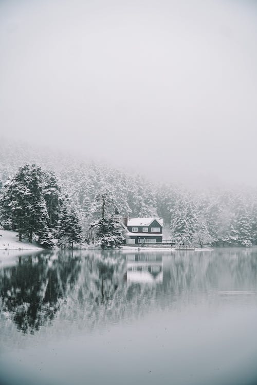 Free House Near a Frozen Lake  Stock Photo