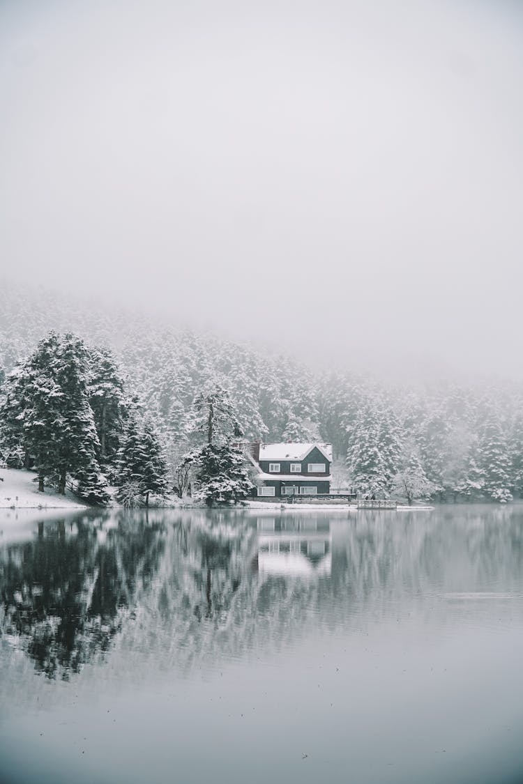 House Near A Frozen Lake 