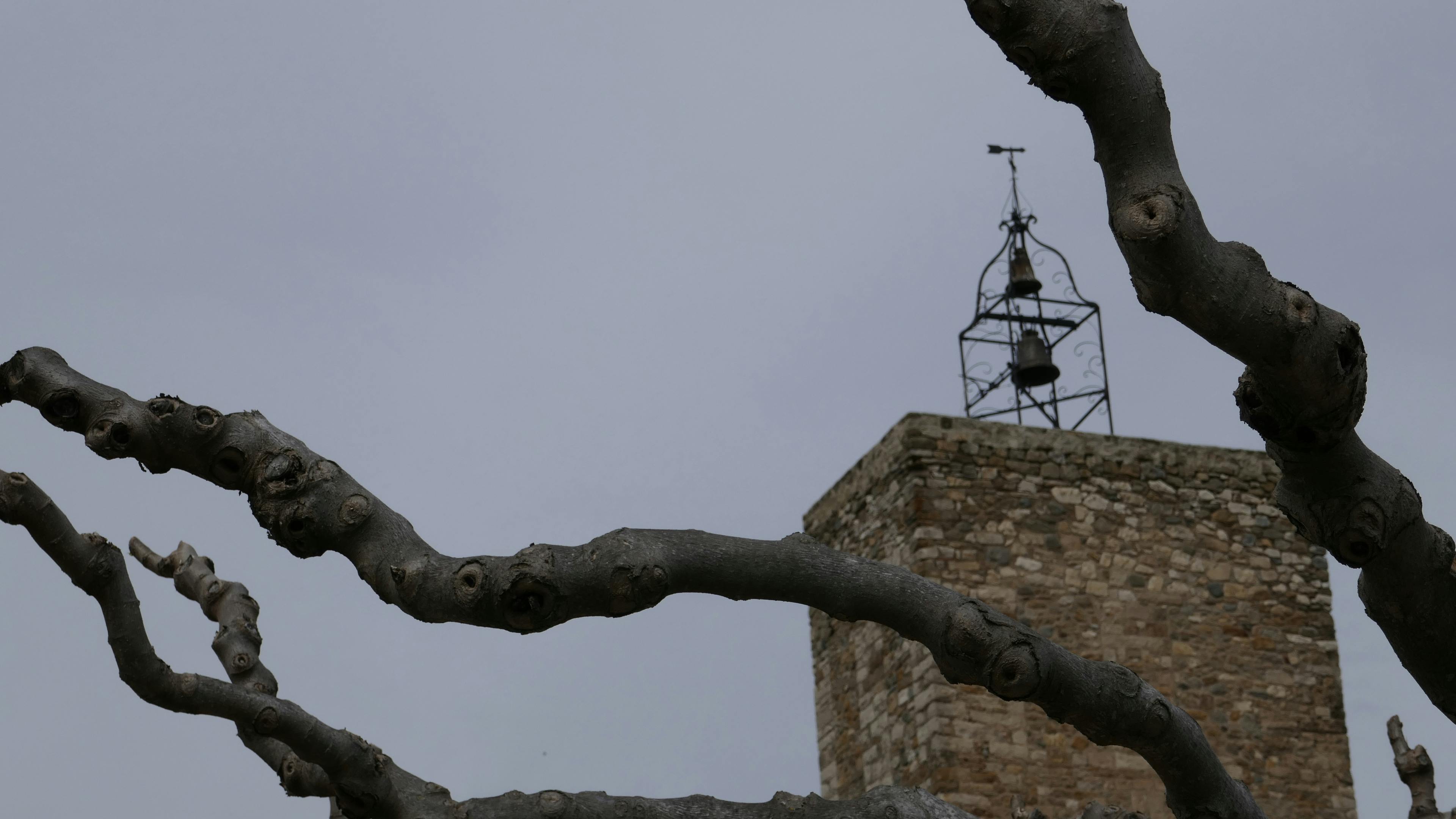 Free stock photo of like arms, old church top, tree branches