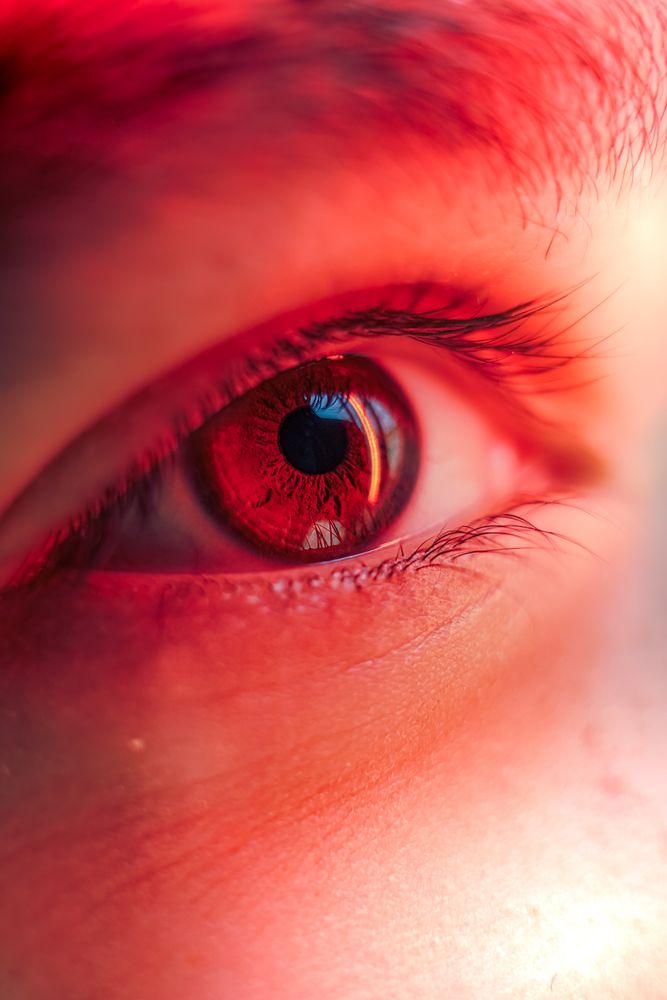 Red Eye Photos, Download The BEST Free Red Eye Stock Photos & HD Images