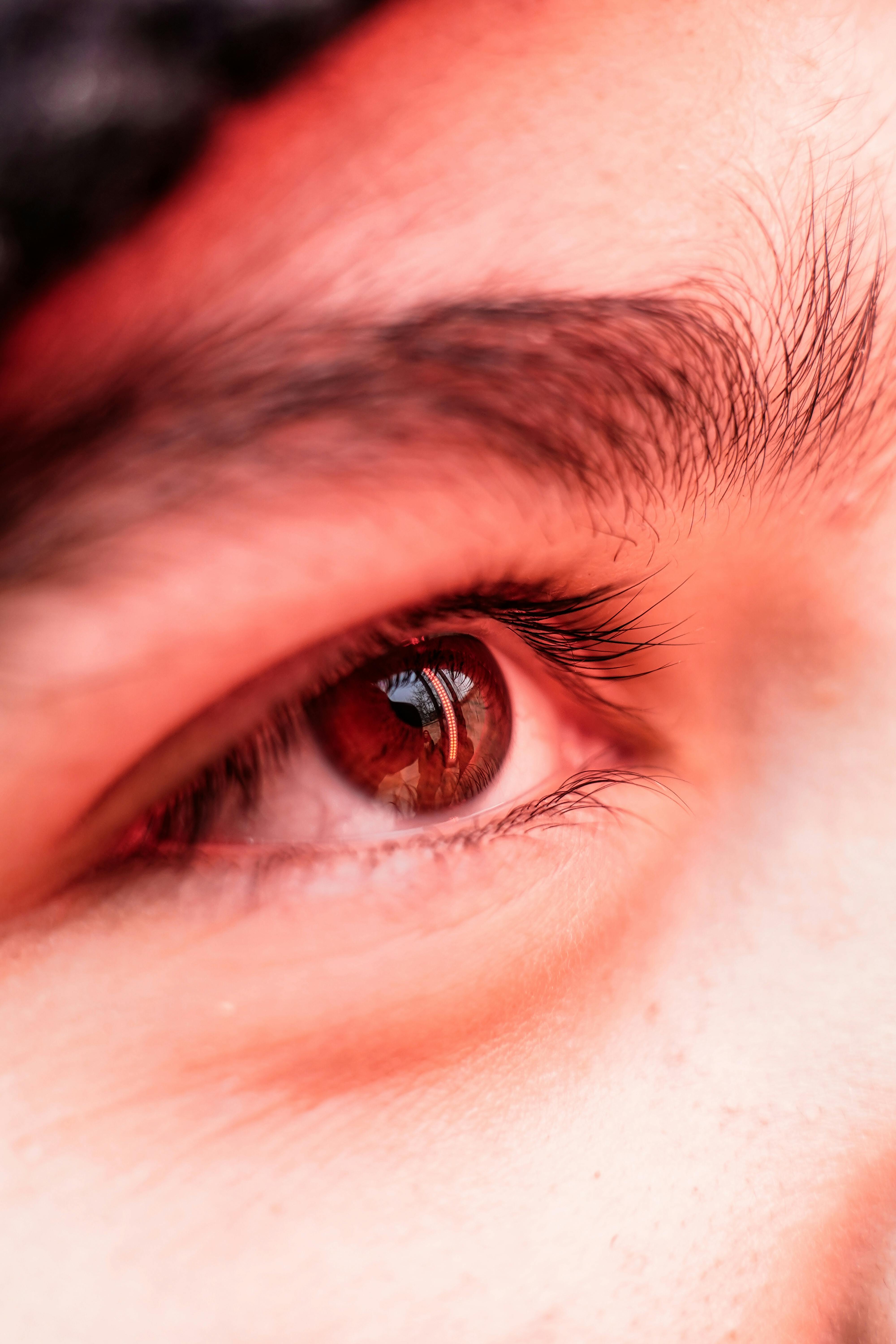 Eyeball Close Up Stock Photo - Download Image Now - Iris - Eye, Eye, Eyeball  - iStock