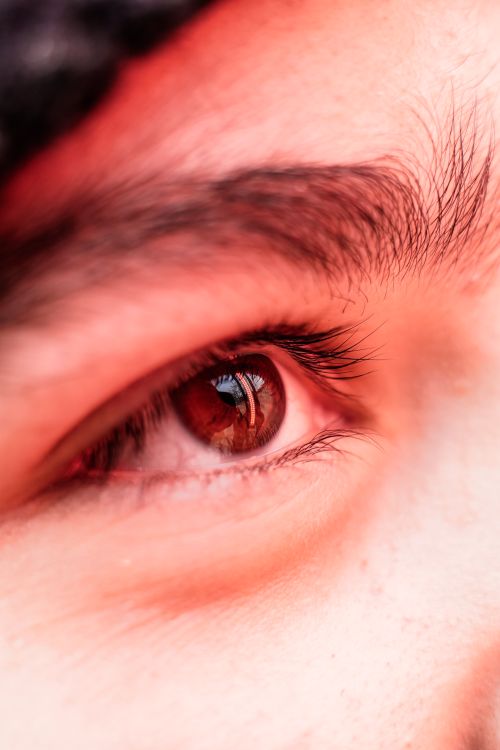 Free Detailed close-up shot of a human eye showcasing rich brown iris and intricate details. Stock Photo