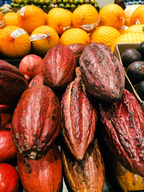 Free Foto profissional grátis de cacau, chocolate, fruta tropical Stock Photo
