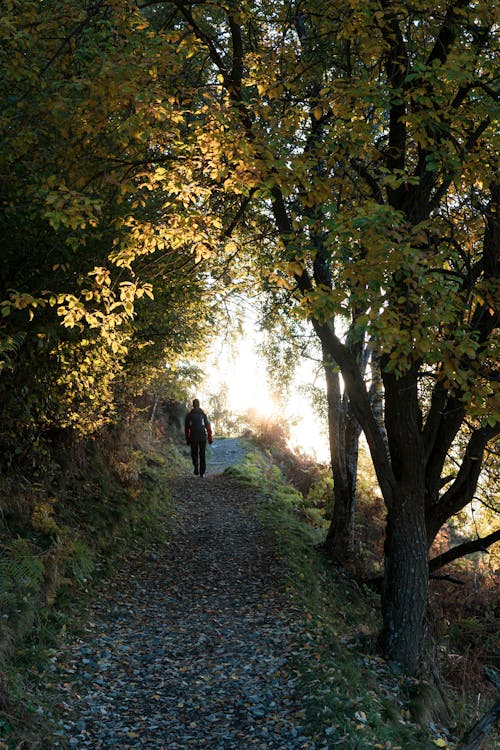 Free Photo of a Person Walking on a Footpath During the Morning Stock Photo