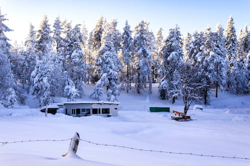 Bezpłatne Darmowe zdjęcie z galerii z dom, drzewa, pokryte śniegiem Zdjęcie z galerii
