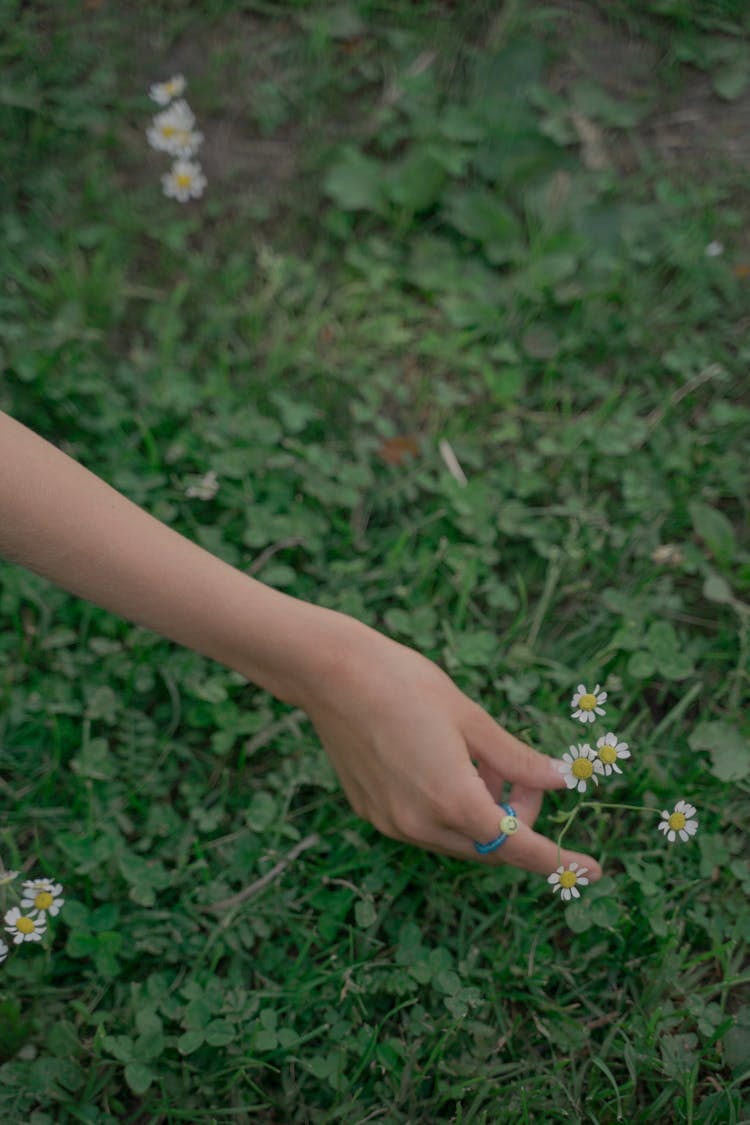 Girl Reaching For Flower