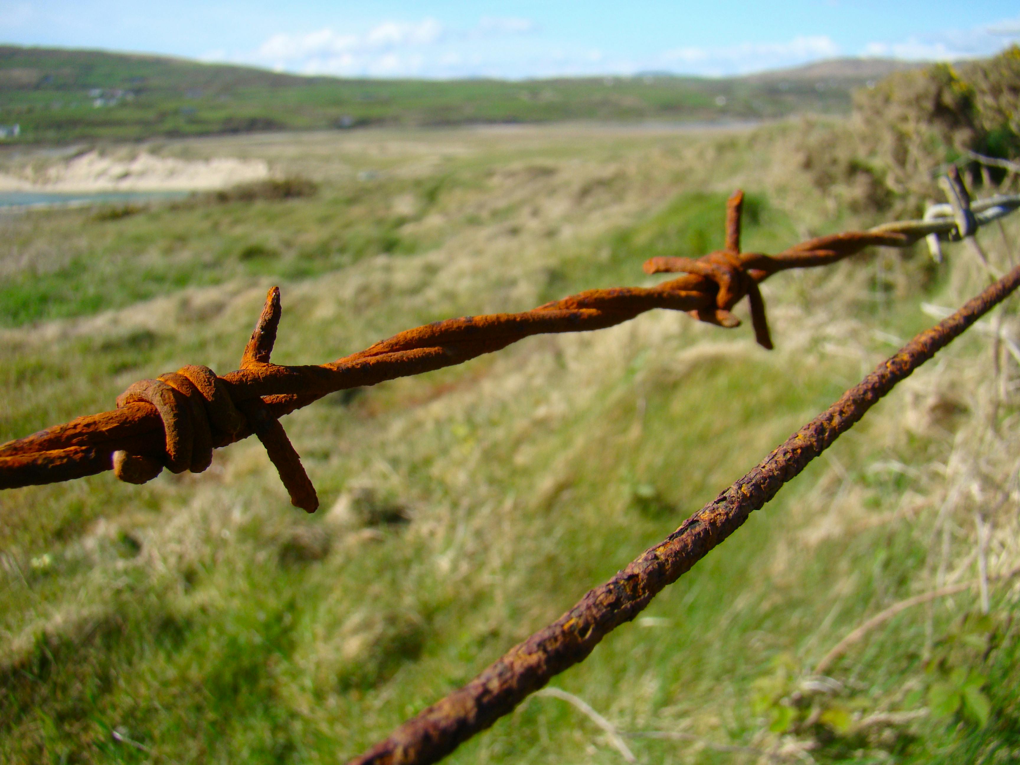 Free stock photo of barb wires, rust