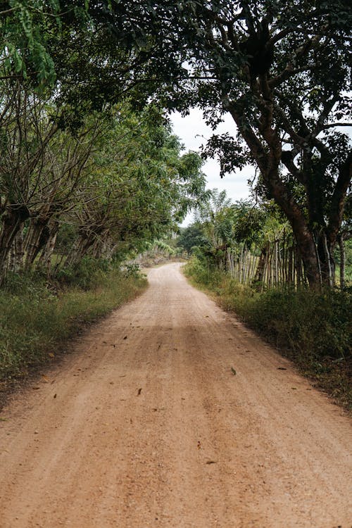 Brown Dirt Road Between Green Grass and Trees