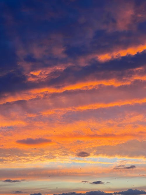 Blue and White Cloudy Sky