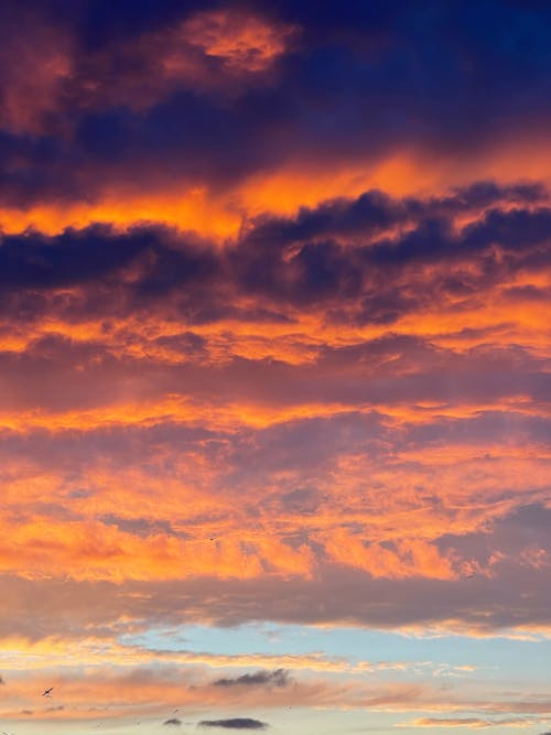 Orange and Blue Cloudy Sky during Sunset
