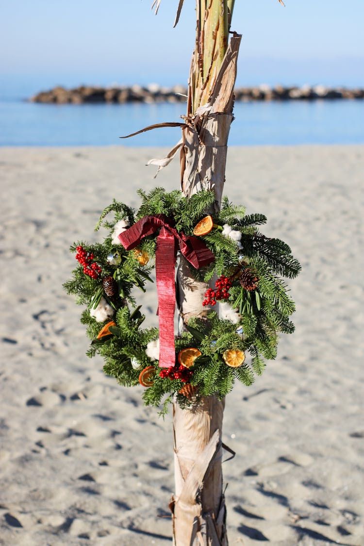 Hanging Wreath On Tree Trunk 