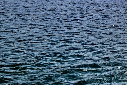 水, 水體, 海洋 的 免費圖庫相片