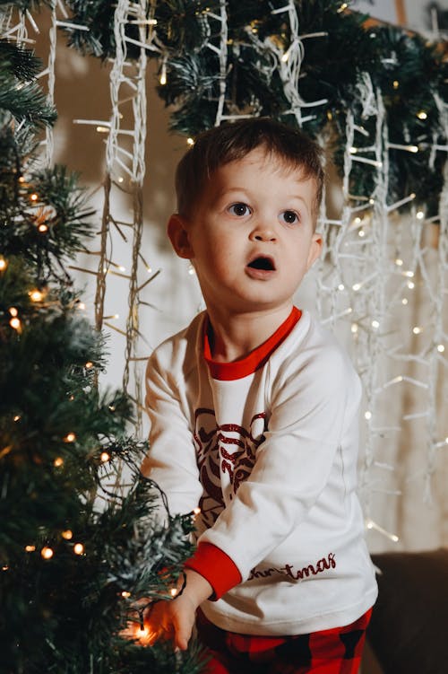 Gratis lagerfoto af barn, Dreng, julelys Lagerfoto