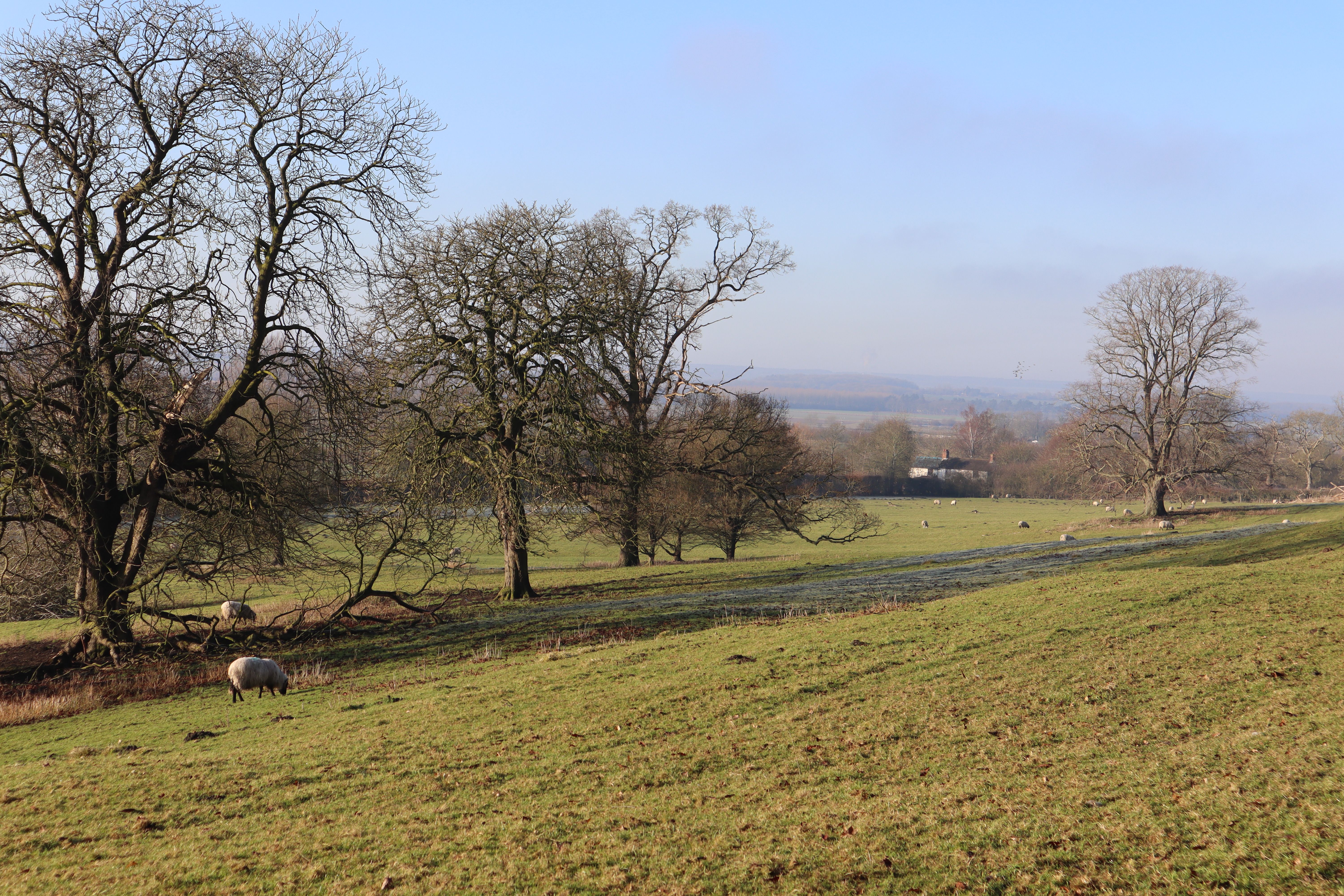 5 Day Conscious Cookery & Yoga Retreat in Lake District, England 1